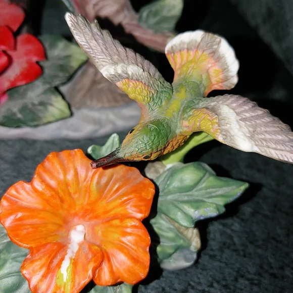 Hummingbird Collection Lot - Picture 4 of 8